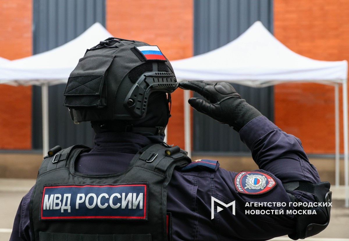 Фотограф: Ярослав Чингаев