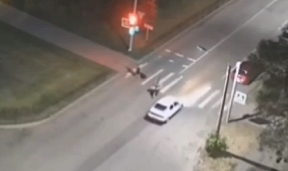    Житель Сосновоборска убил водителя, не уступившего ему дорогу на пешеходном переходе. Скриншот: видео краевой прокуратуры