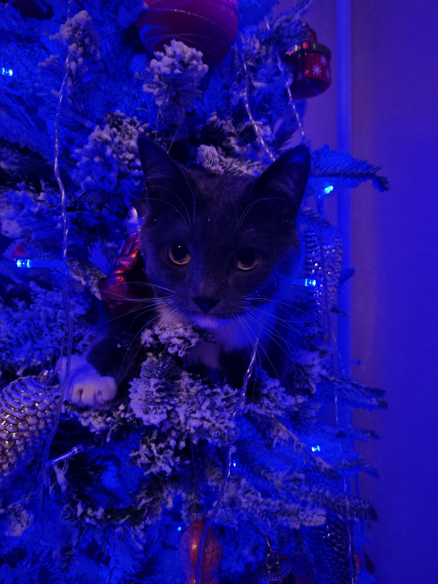 Будьте счастливы! 