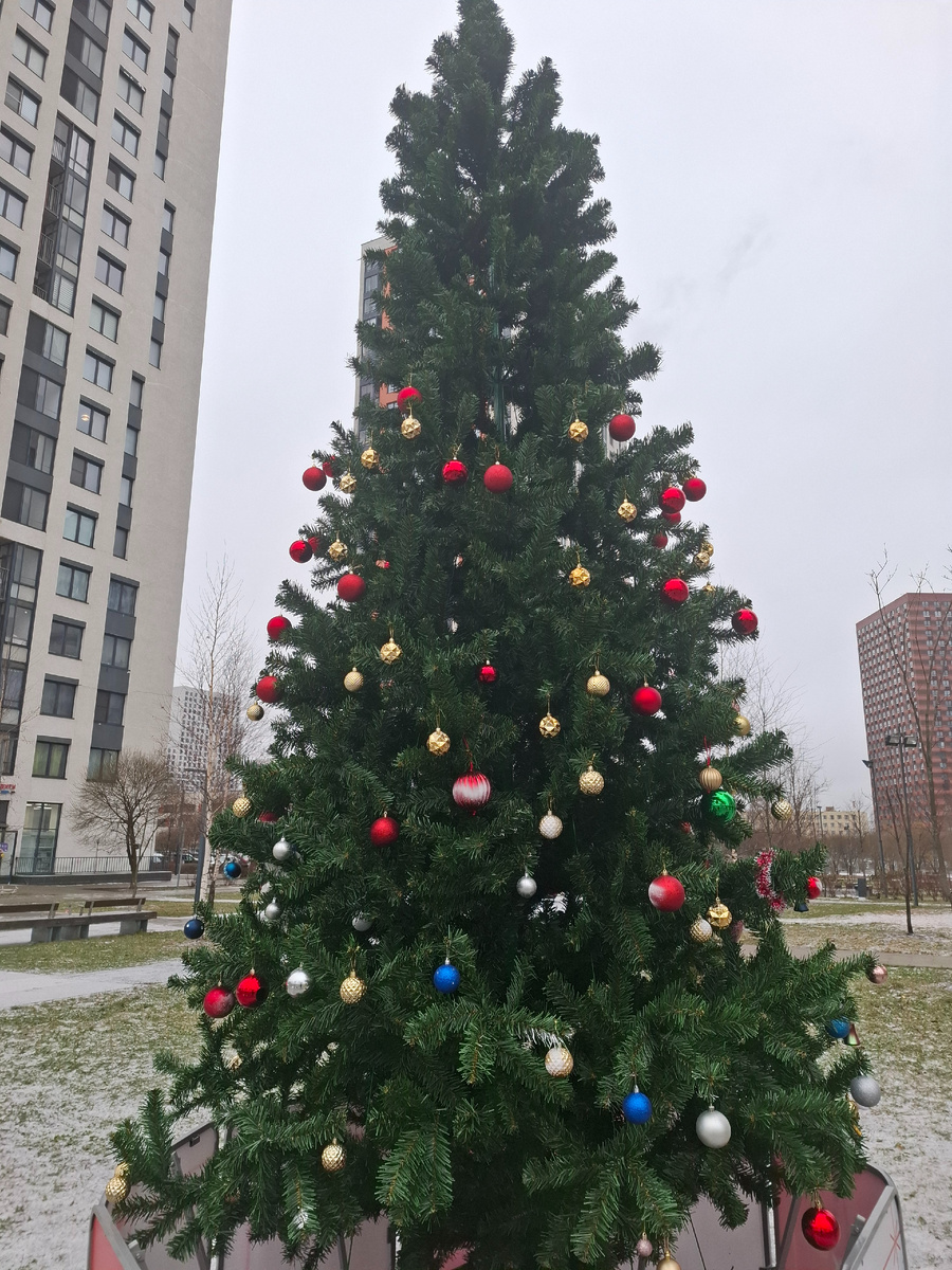 Этой елке тоже как-то не повезло...