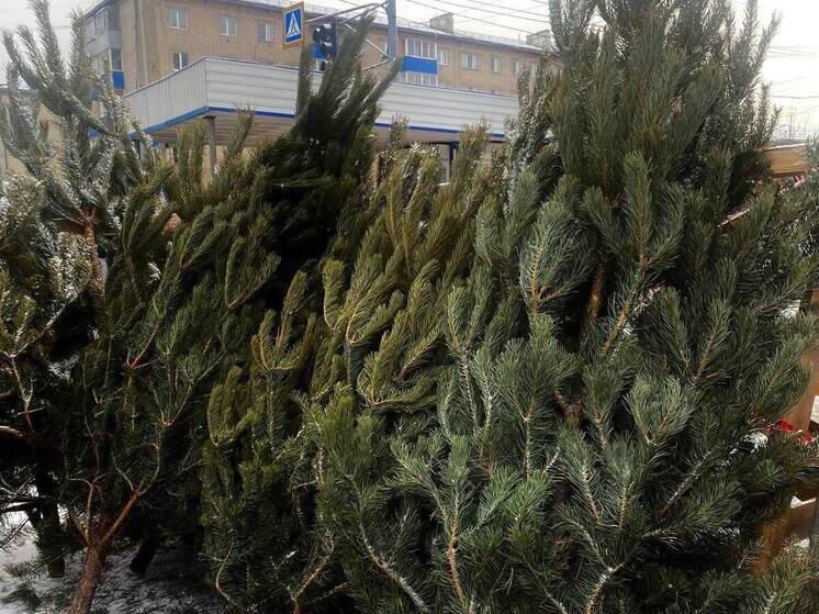     фото мк в чите