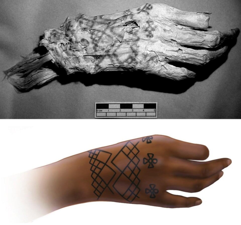    Фотография мумифицированной женской руки и изображение татуировок на ней / © Mary Nguyen / UMSL; Anne Austin et al. / PNAS (2025)