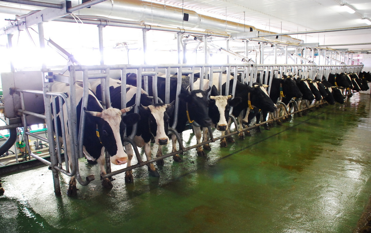    Сотрудник сельхозпредприятия умер на рабочем месте в Удмуртии