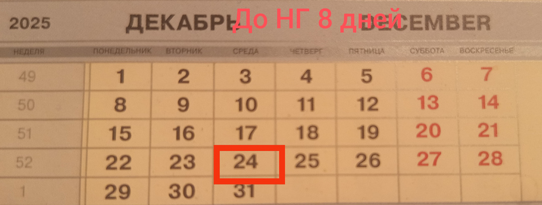Смена 24.12.25
