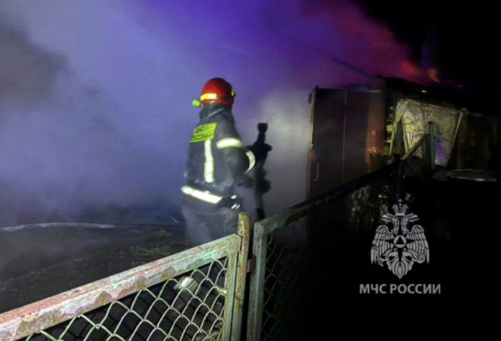 фото: МЧС Ленобласти