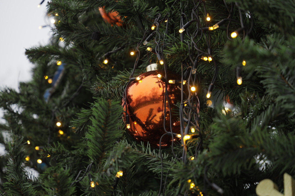    Фото: ТРК «Таврия»