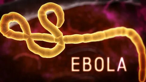 Лихорадка Эбола
Особенности болезни
План лечения
К кому и куда можно обратиться за лечением в Санкт-Петербурге
Кун Вэйи, ученика 10"Б" класса 214 Лицея центрального района города Санкт-Петербург.