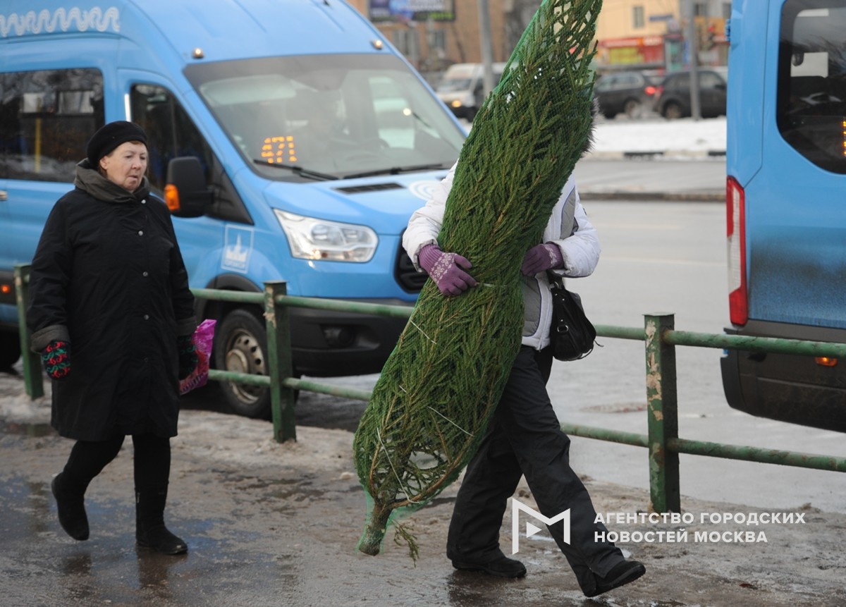 Фотограф: Андрей Любимов