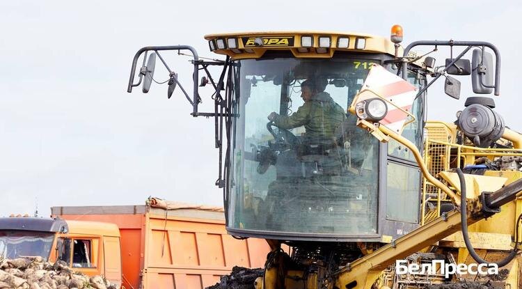 Фото: Елена Журавлёва