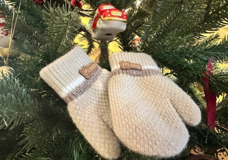 Фото: Самара-ГИС