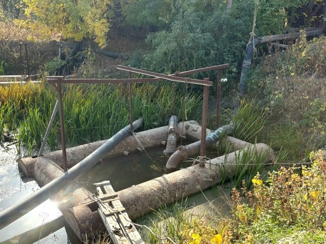 Фото: Служба природопользования и охраны окружающей среды Астраханской области