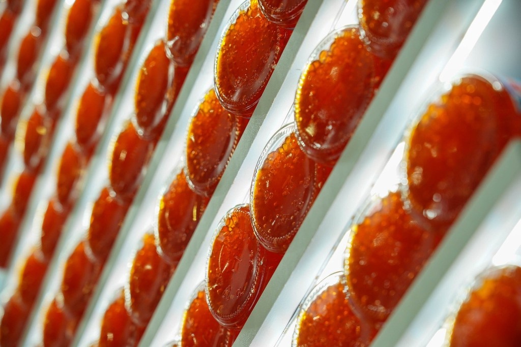    Фото © АГН «Москва» / Александр Авилов