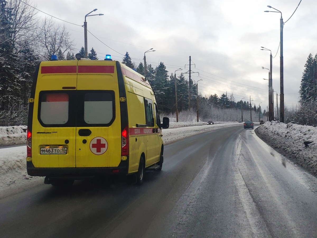    фото: © Столица на Онего