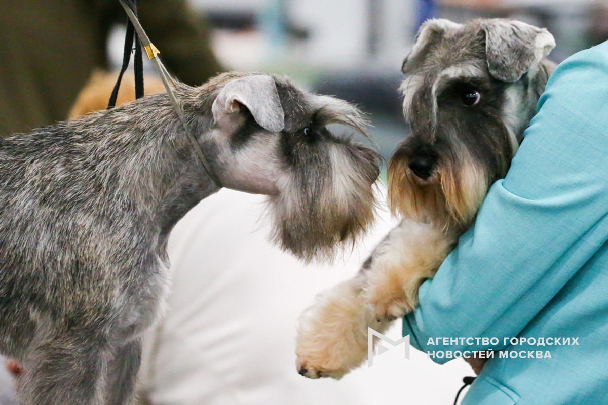 Фотограф: Сергей Ведяшкин
