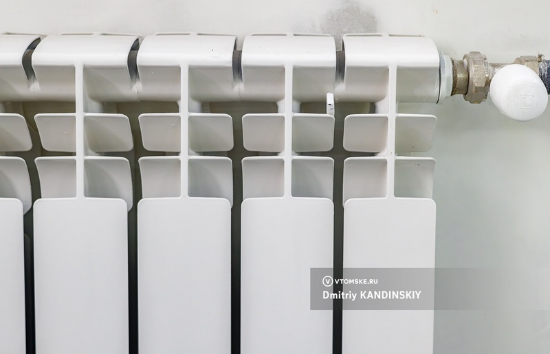    Фото: Дмитрий Кандинский / vtomske.ru