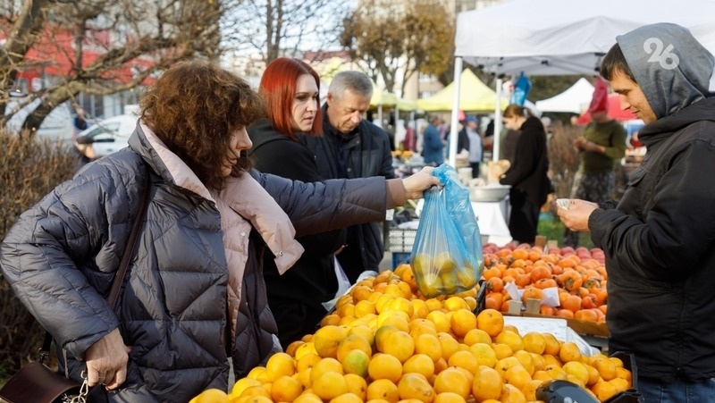      Фото: Дмитрий Ахмадуллин / / ИА «Победа26»