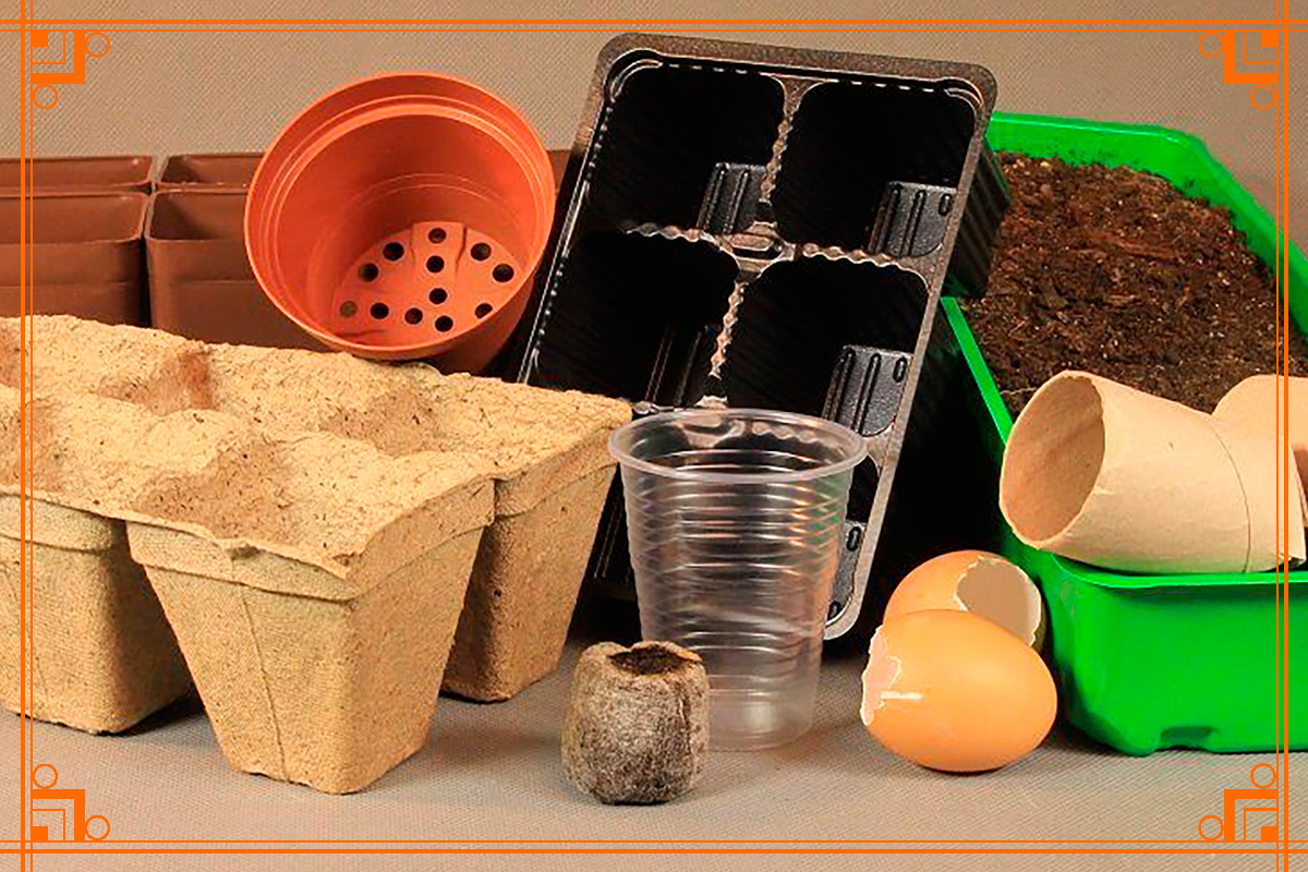 Фото из Интернета. емкости для рассады