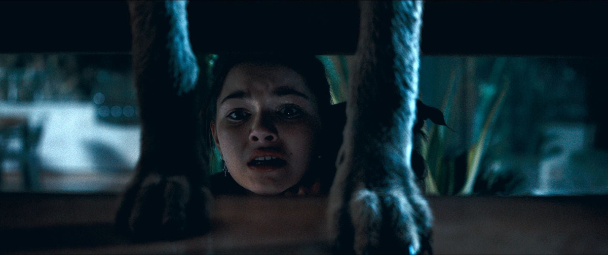 Ночь койота 2025 фильм - актеры и рейтинг, фильмы про диких животных, триллеры про изоляцию