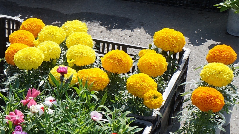    Фото из архива редакции. admin