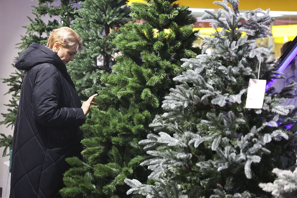    С приближением Нового, 2026 года многие задумываются, какую елку выбрать. / Сергей Фадеичев/ ТАСС