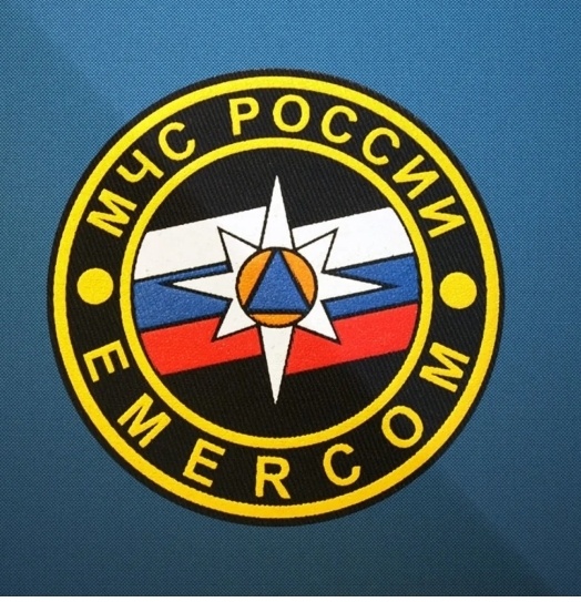 Один из официальных символов МЧС России. Яндекс-картинки.