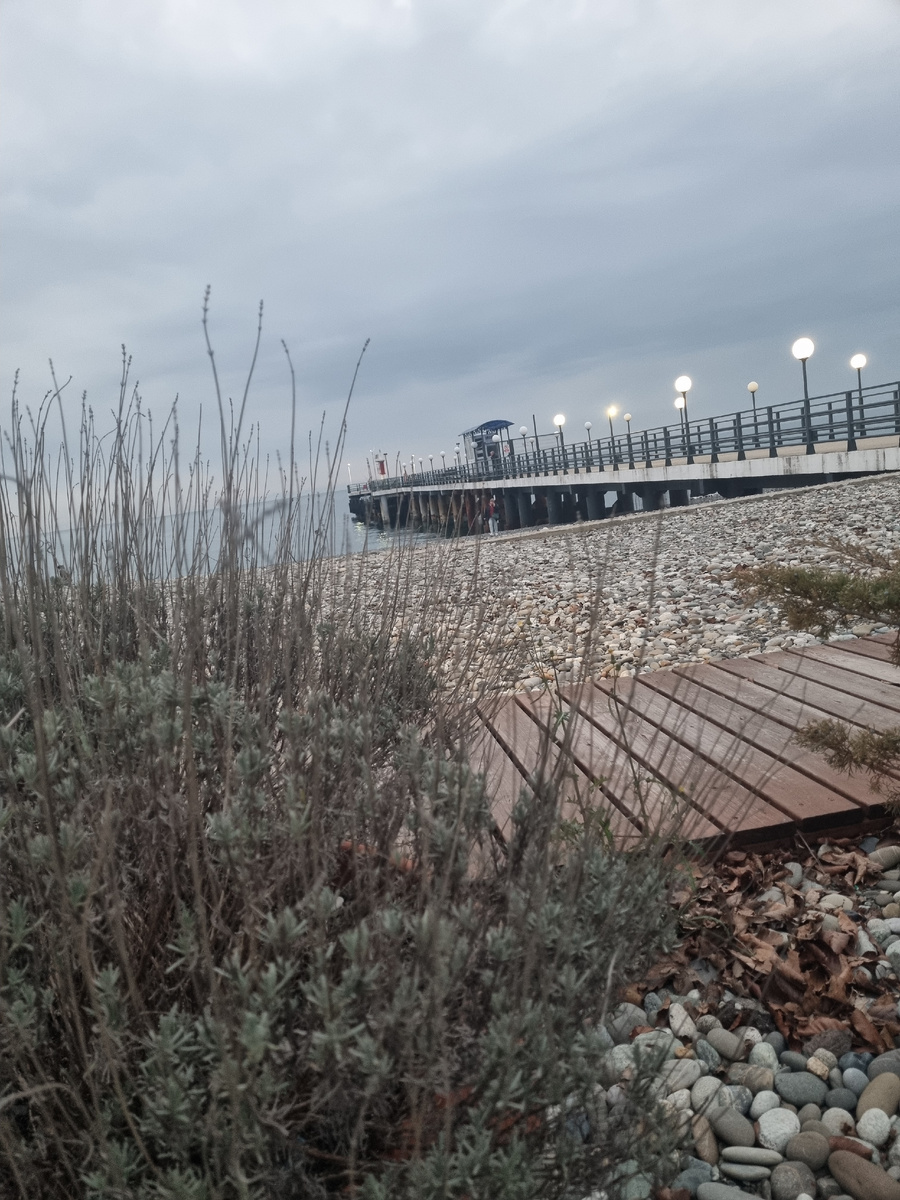 Фото автора.