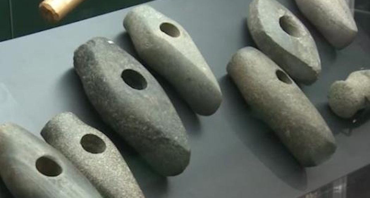    Фото с сайта gtk.tv