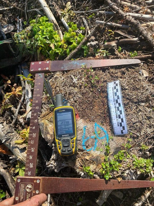    © Прокуратура Пермского края