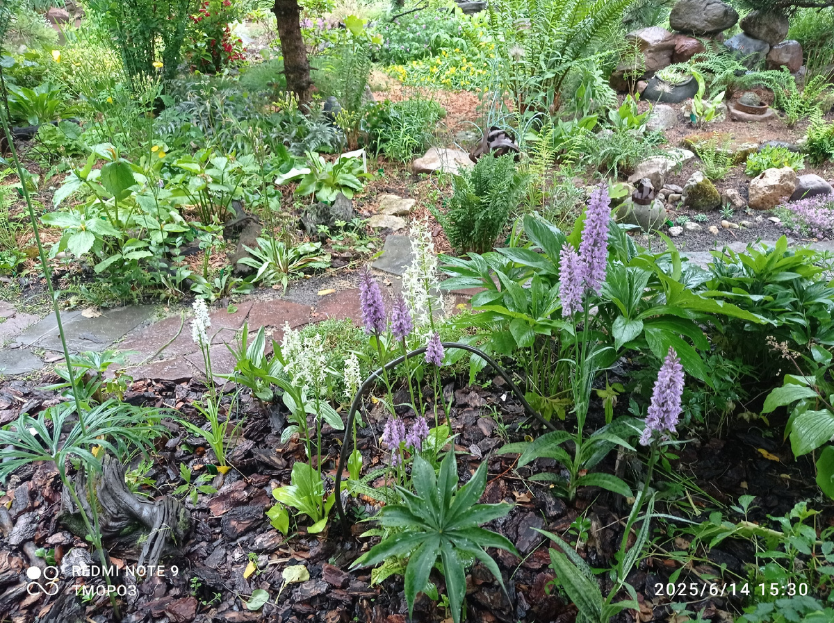 место жительства