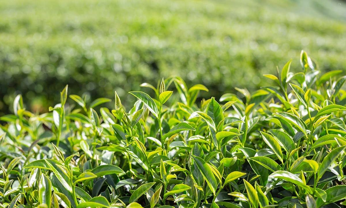    Фото freepik.com