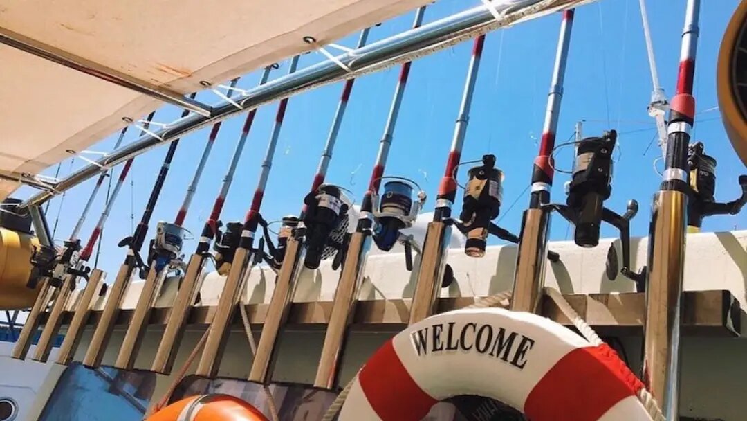 "Здесь готовят рыбу при тебе"