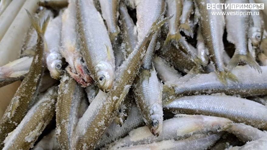    Источник фото: