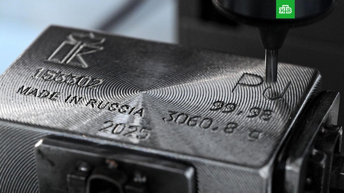    Фото: РИА Новости © 2025, Илья Наймушин