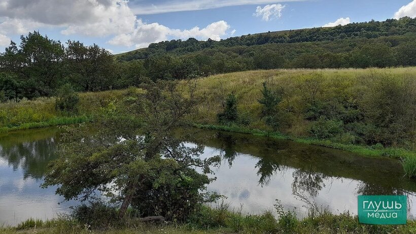   Фото «Глушь медиа»