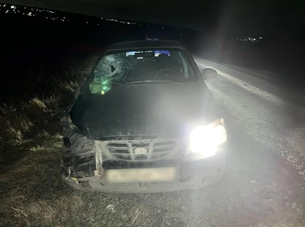     Фото: пресс-служба ГУ МВД по региону