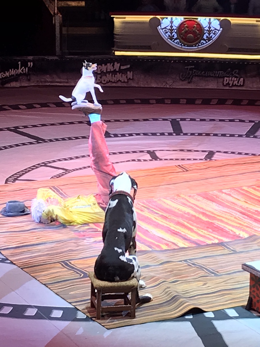 Фото автора