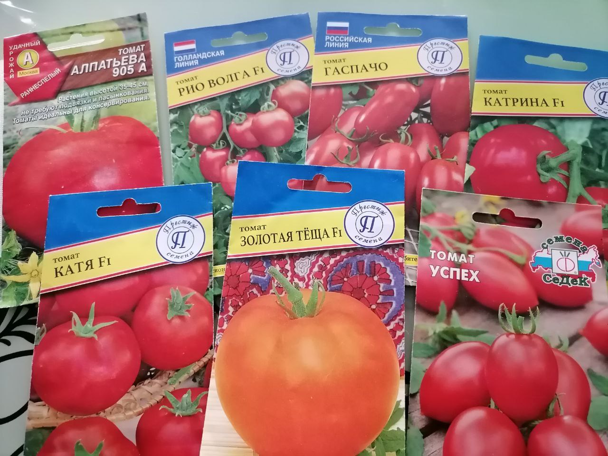 Семена томатов, фото автора