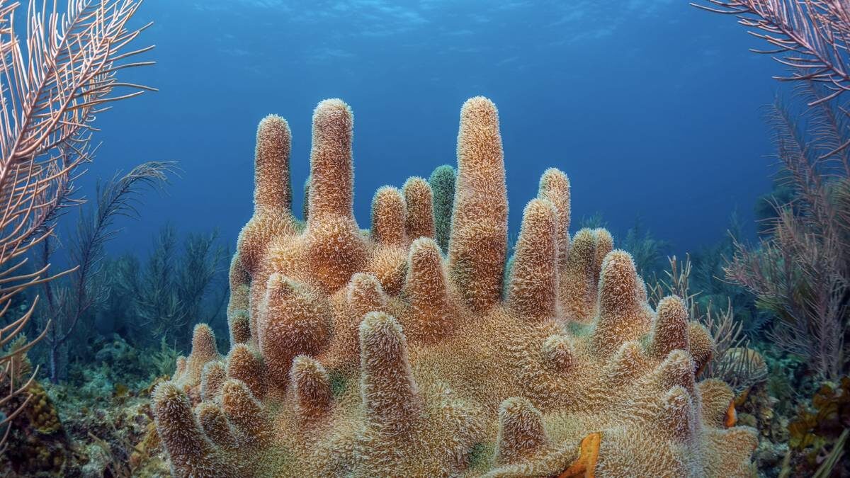    Фото: Shutterstock