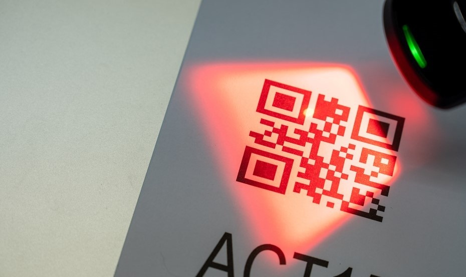 Автор фото: Suwan-Studio/Shutterstock/FOTODOM