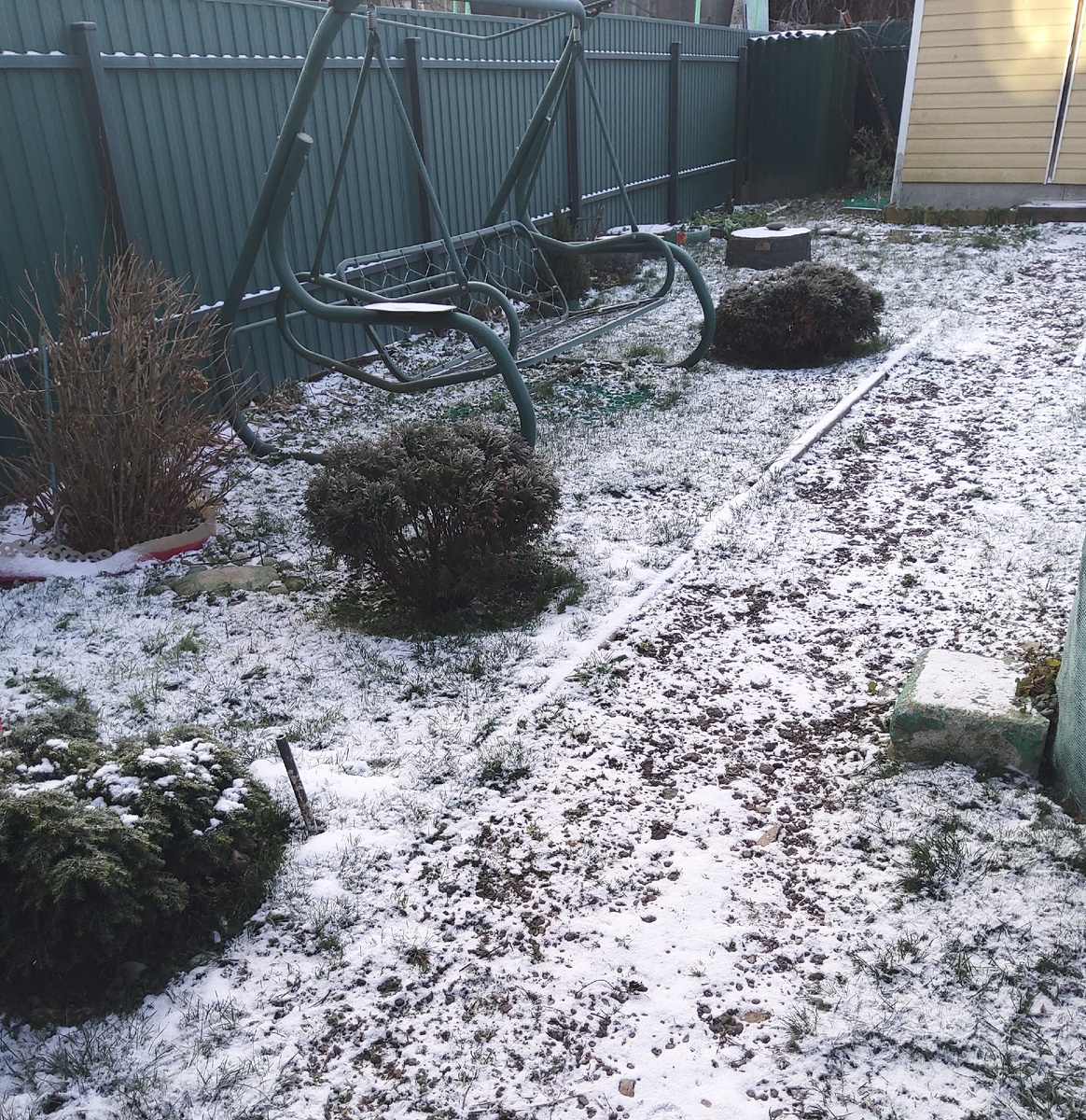 Фото автора.