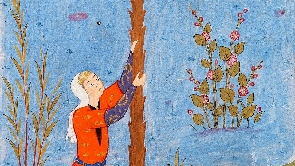 Рождество Христово: Коран не противоречит Библии, как всё происходило на самом деле