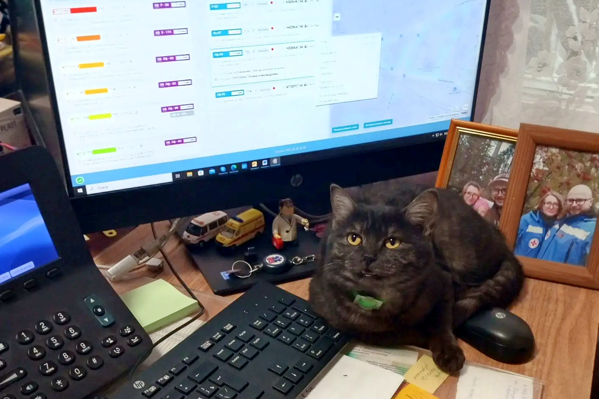    Фото: zdrav.nso.ru