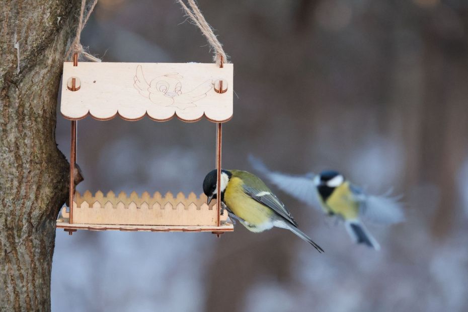    Алексей Белкин/NEWS.ru