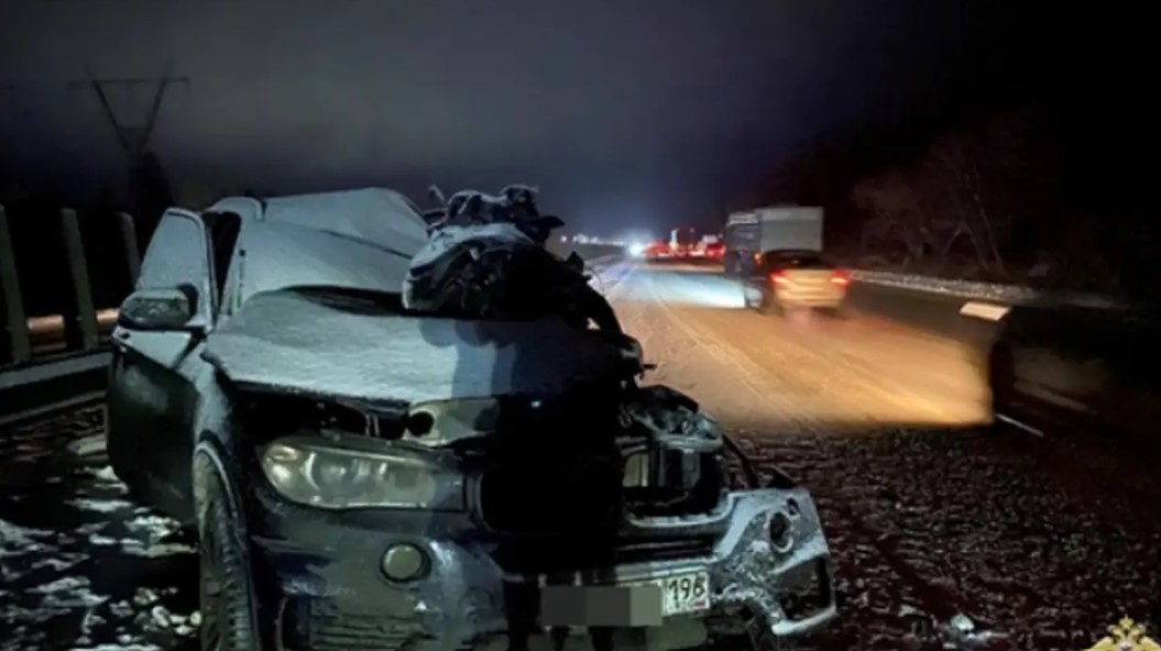    Фото: ГУ МВД по Самарской области