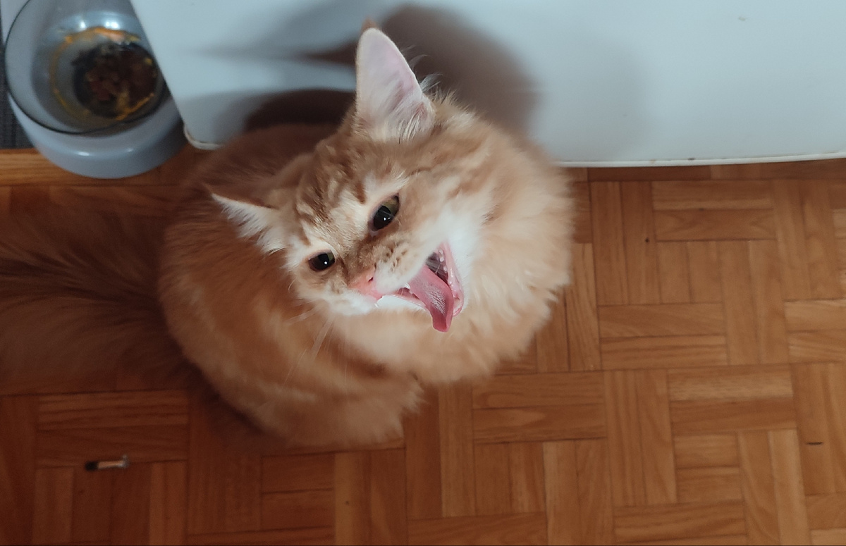 Да! Да!.... Полностью поддерживаю... Хочу чего-то новенького и вкусненького... 