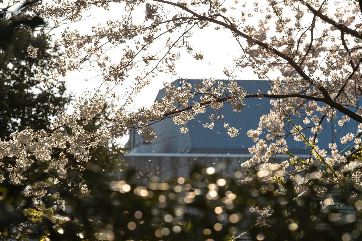     Тепло придет раньше времени: в Гидрометцентре раскрыли, какой будет весна-2026