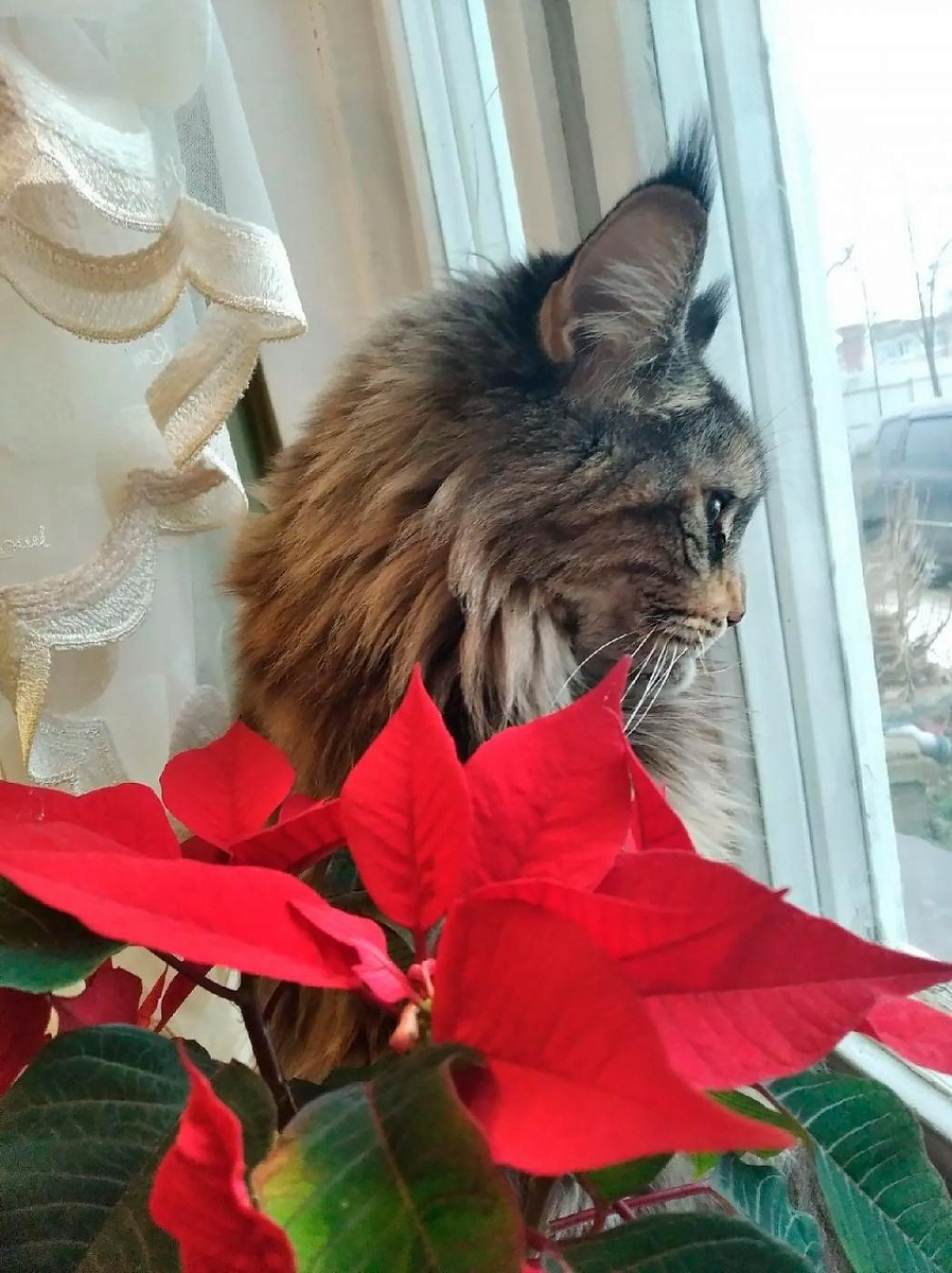    Фото: Ирина Ананьева.