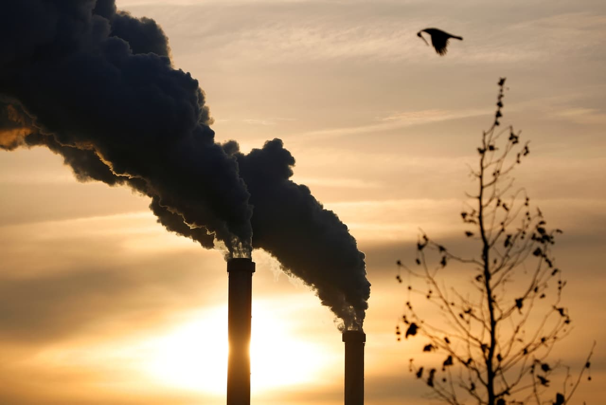 Элементарная гигиена требует решить вопрос утилизации мусора. Наша культурная традиция предлагает два способа: сжечь или закопать. При этом приводится твердолобый аргумент – "дед жег, отец жег и вреда здоровью не было. И я буду жечь. Тратиться на вывоз необязательно, проблема решается бесплатно."