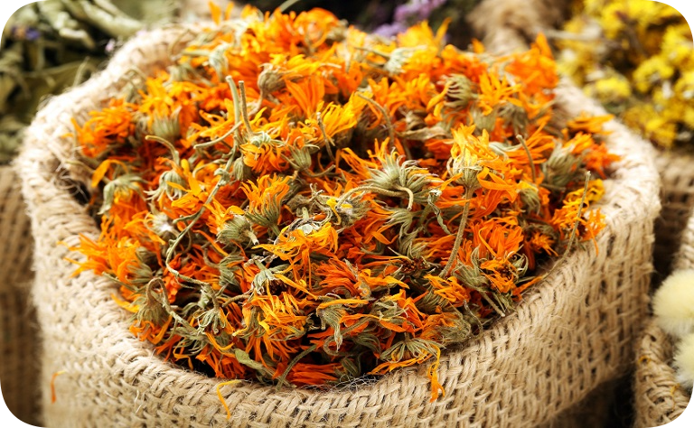 БАННАЯ ЗАПАРКА С КАЛЕНДУЛОЙ