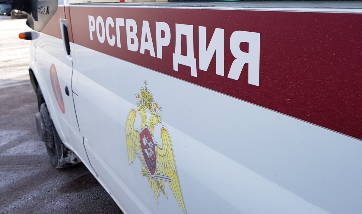     Росгвардия. Автор: Олег Петров. Фото: редакция.